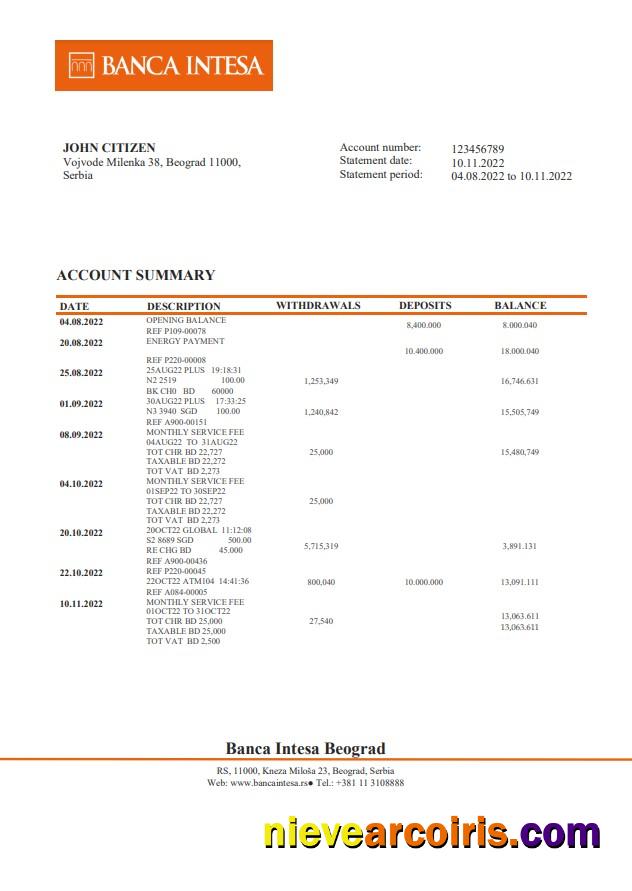 Serbia Banca Intesa bank statement